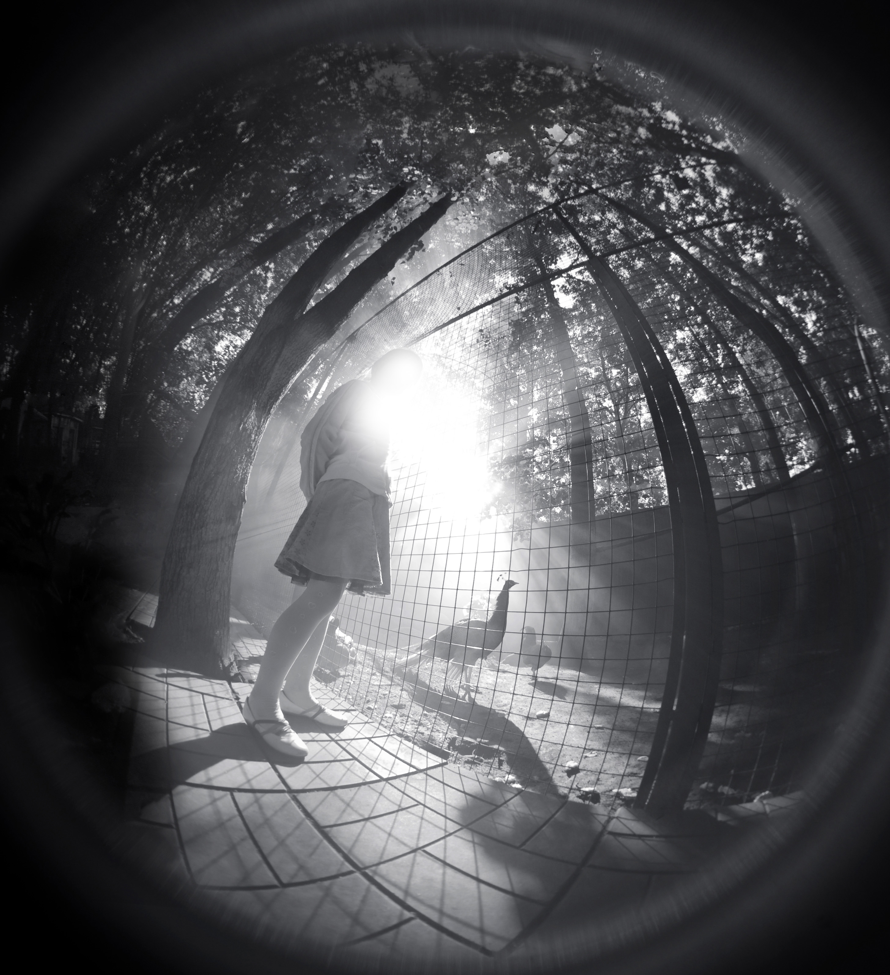 person_people_city_architecture_art_photography_exhibition_black_white