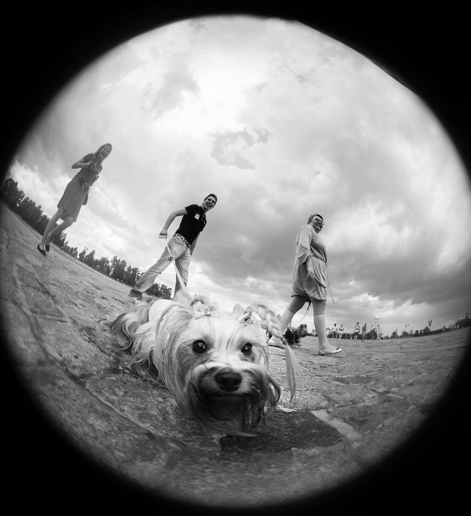 person_people_city_architecture_art_photography_exhibition_black_white_dog